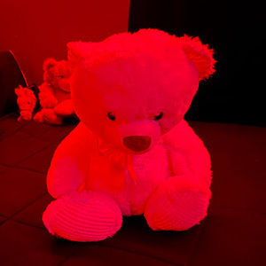 Meet your Posher, Brashad